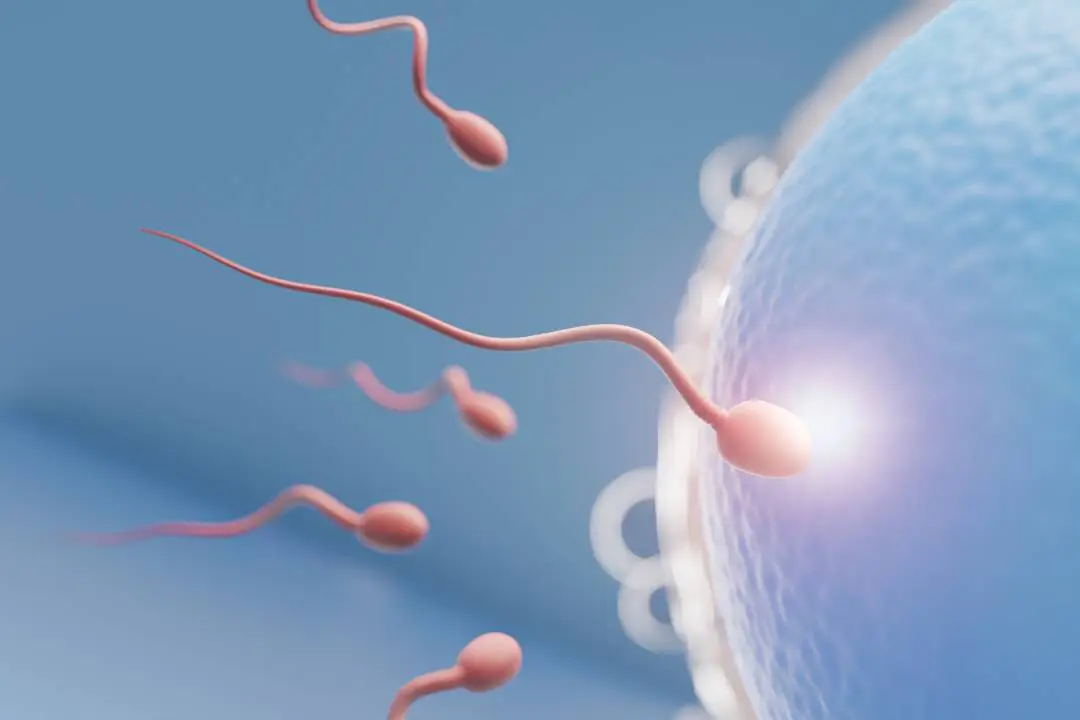 Why Sperm Analysis Test Is Vital For Family Planning Life Aid
